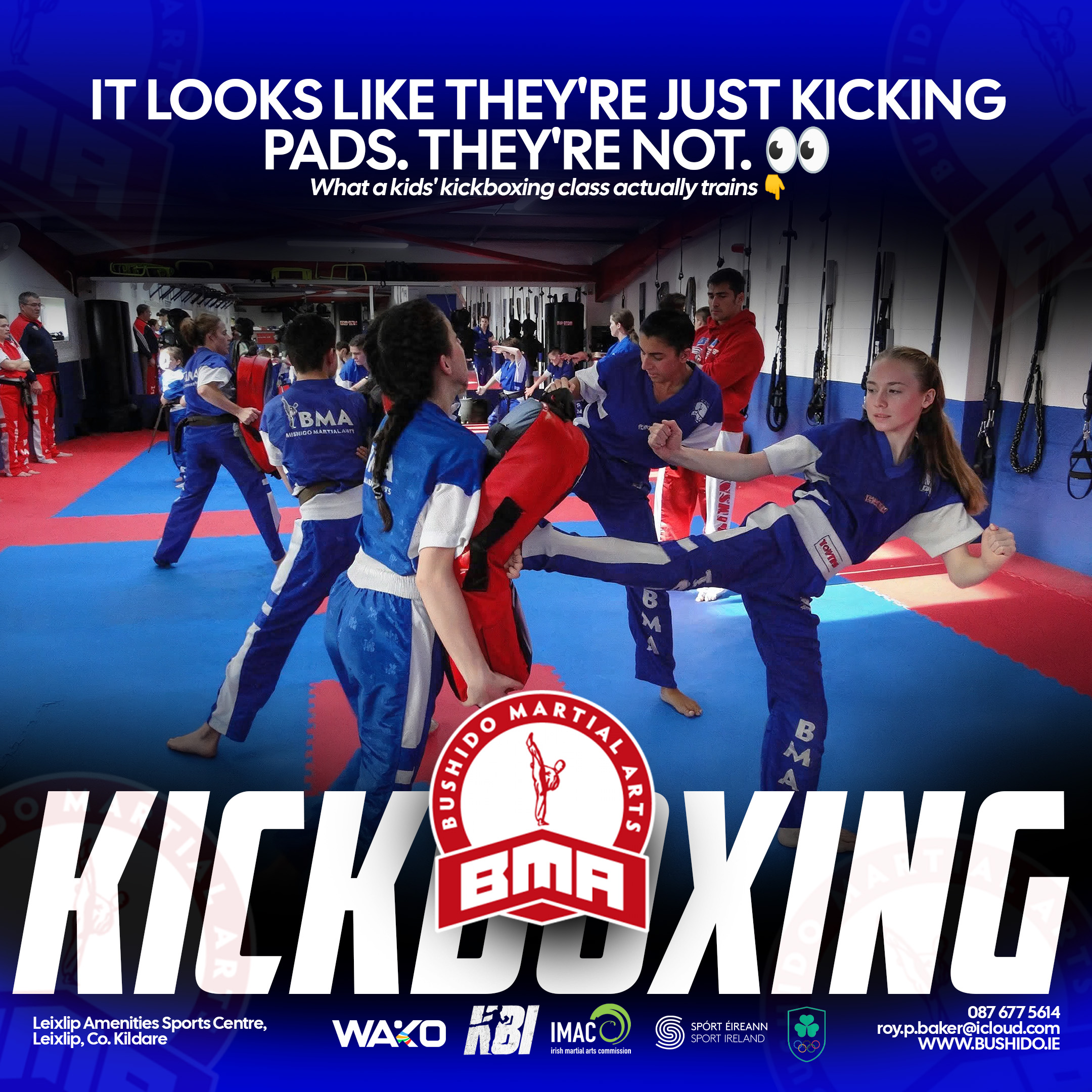 Bushido children's kickboxing artwork: it looks like they're just kicking pads, they're not